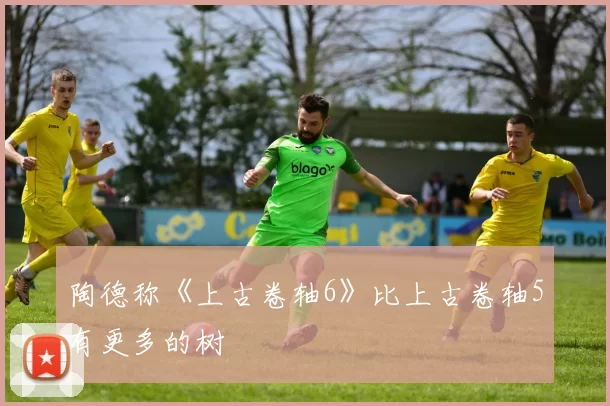 陶德称《上古卷轴6》比上古卷轴5有更多的树