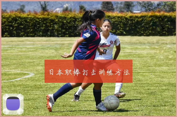日本职棒打击训练方法