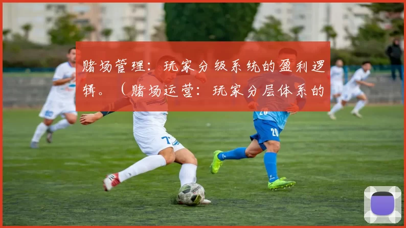 赌场管理：玩家分级系统的盈利逻辑。（赌场运营：玩家分层体系的盈利模式）