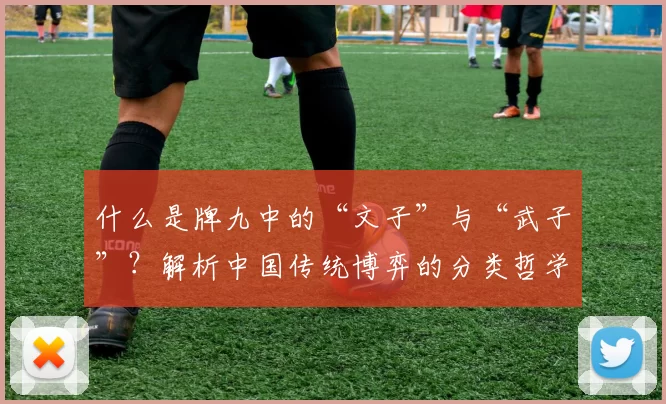 什么是牌九中的“文子”与“武子”？解析中国传统博弈的分类哲学。（牌九里的“文子”“武子”究竟指什么？透视中国传统博弈的分类思维）